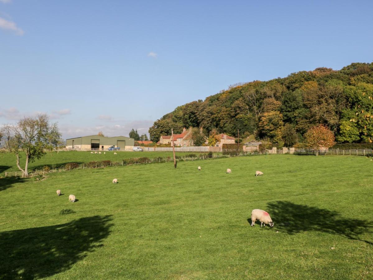 Vila Woodside Barn Thirsk Exteriér fotografie